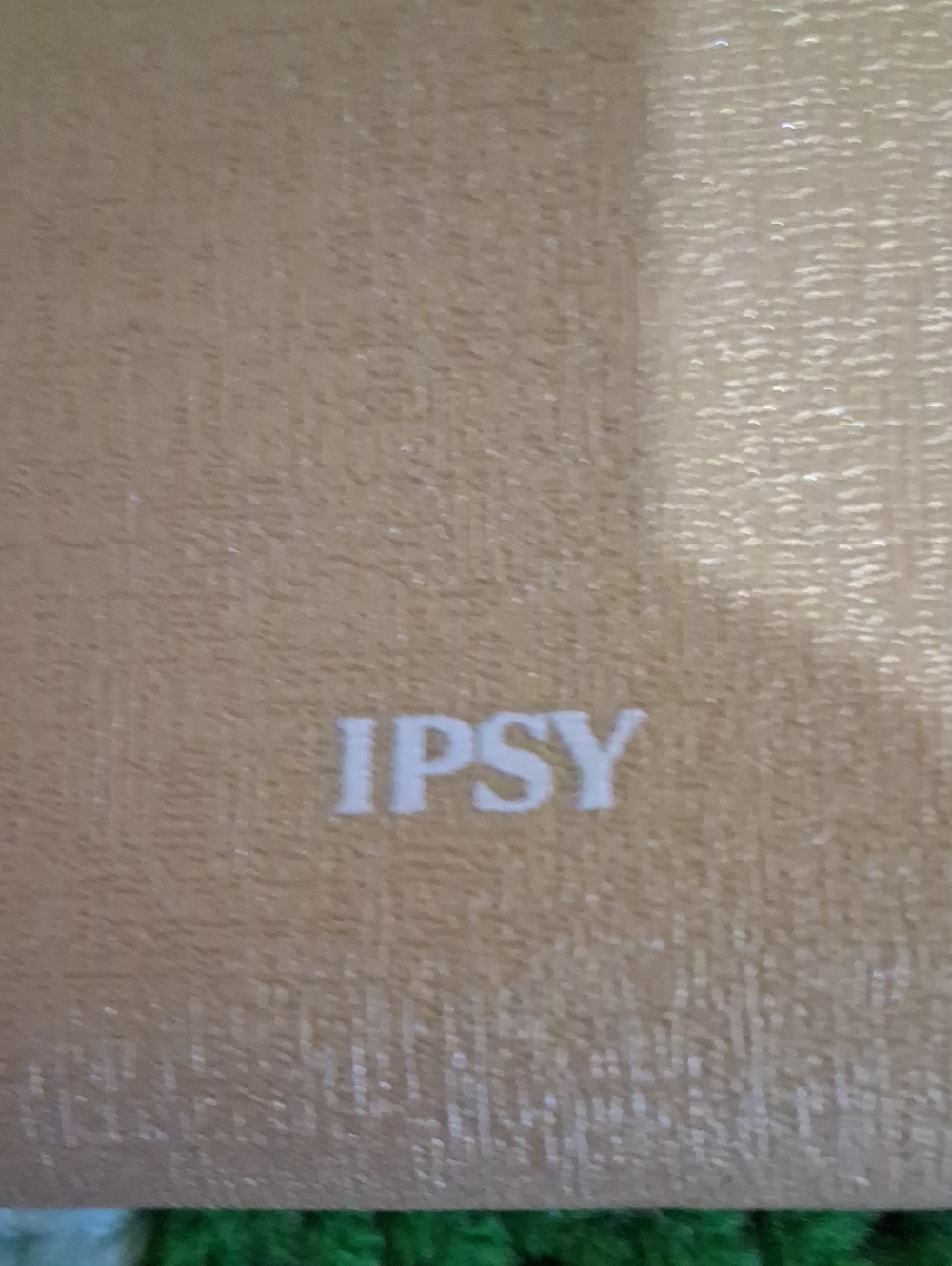 IPSY Case - Picture 2 of 5